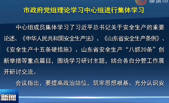 市政府党组理论学习中心组进行集体学习