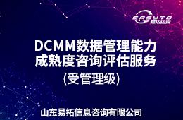 DCMM2级咨询评估服务